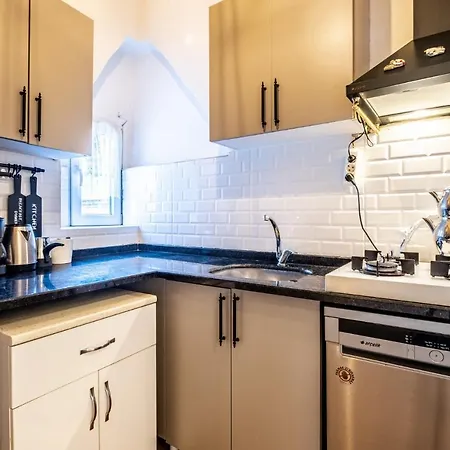 Διαμέρισμα Flat With Bosphorus View And Terrace In Beyoglu *