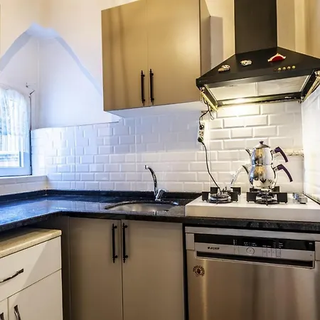 Apartment Flat With Bosphorus View And Terrace In Beyoglu *